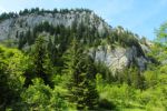 2014-07-05_Laengental-N-Hochweg (524). JPG